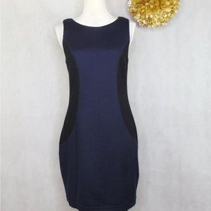 Rag and Bone Sheath Dress